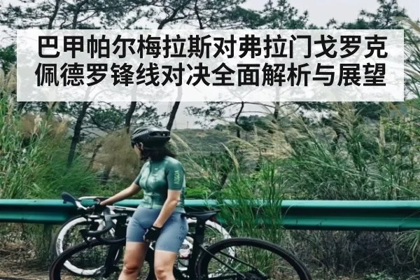 巴甲帕尔梅拉斯对弗拉门戈罗克佩德罗锋线对决全面解析与展望